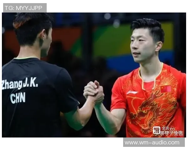 南京乒乓球队在杯赛中的团队协作表现分析与点评