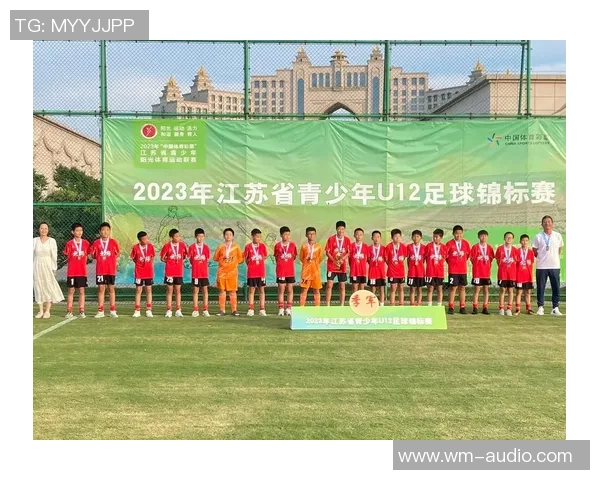 南京足球队在全国锦标赛积分榜上以76分稳居第一名引发关注