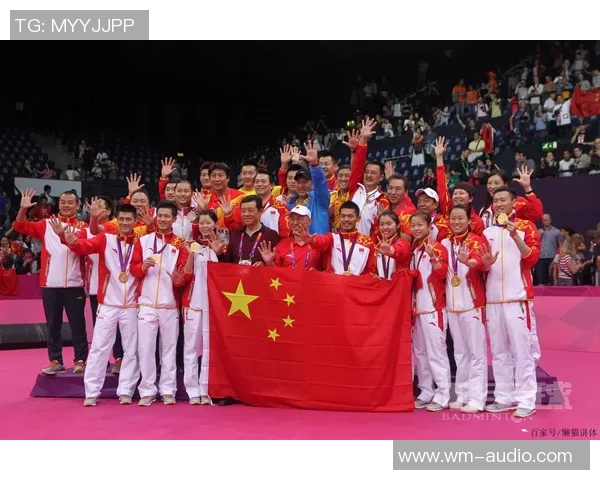 杭州羽毛球队展现实力大满贯赛事点评与分析