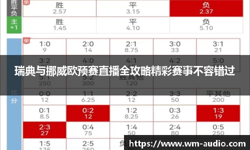 瑞典与挪威欧预赛直播全攻略精彩赛事不容错过