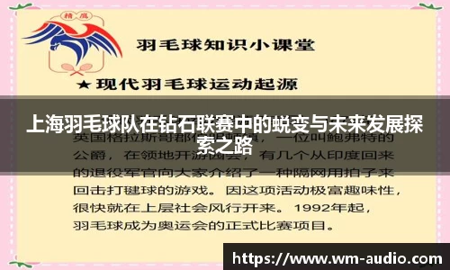上海羽毛球队在钻石联赛中的蜕变与未来发展探索之路
